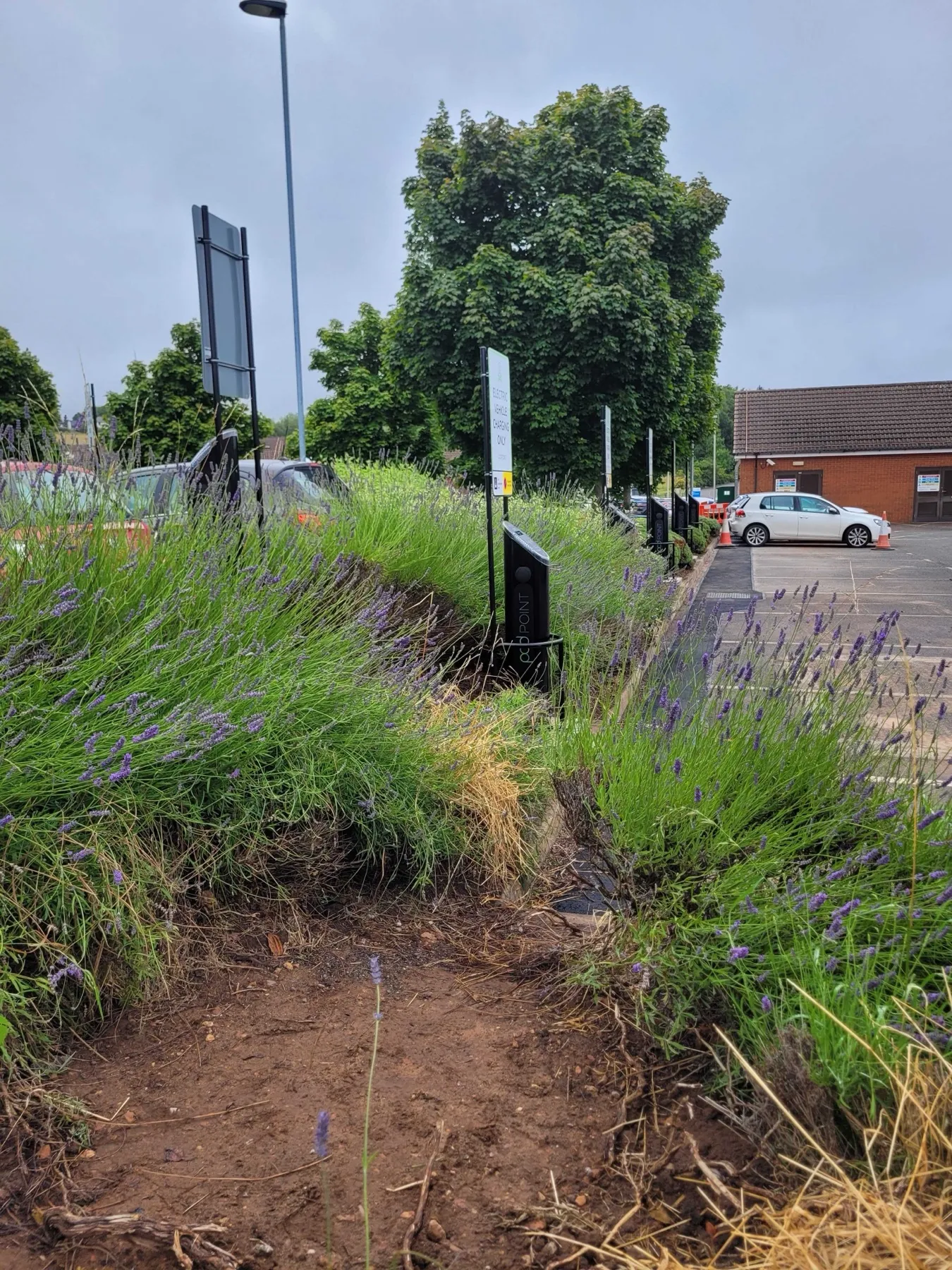 Sherwood Hospital, EV charging for staff and visitors